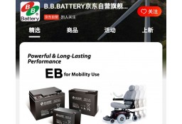 B.B.BATTERY京东自营旗舰店上线