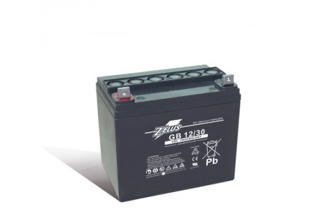 Zelus GEL Battery Zelus GEL Battery