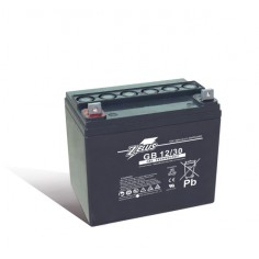 Zelus GEL Battery